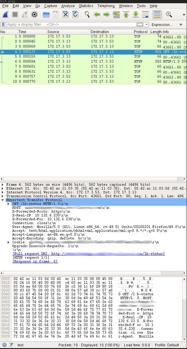 Wireshark view of capture